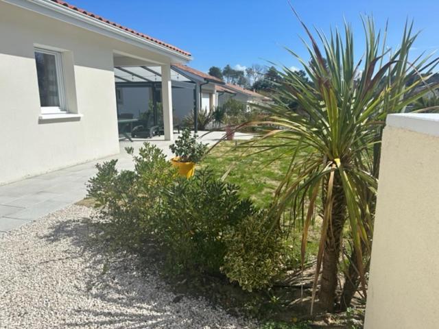 Belle Maison Malou Climatisee Calme, Piscine, Jacuzzi 3Km Plage Labenne Capbreton Exterior foto